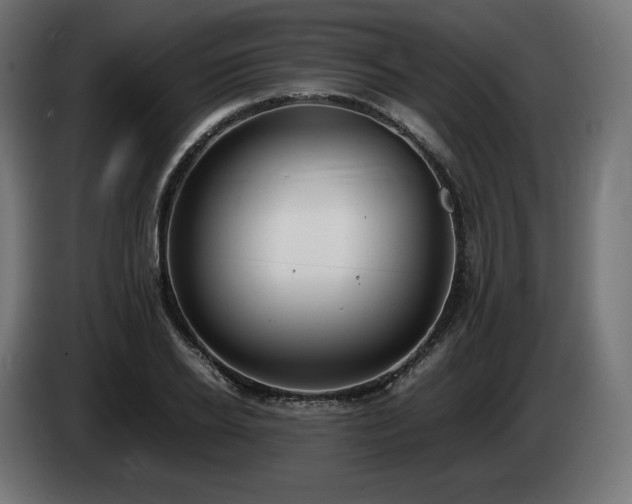 X0000085050934200703051413