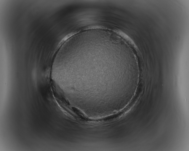 X0000085050937200703051413