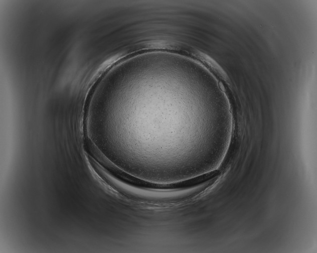 X0000085050938200703051413