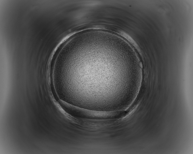X0000085050939200703051413