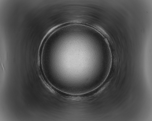 X0000085050940200703051413