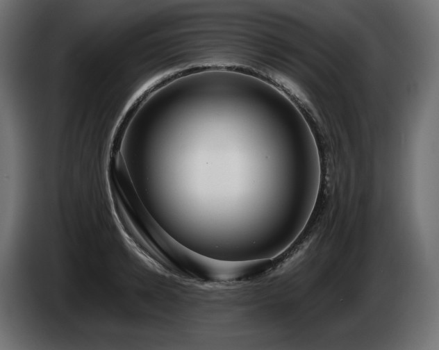 X0000085050942200703051413