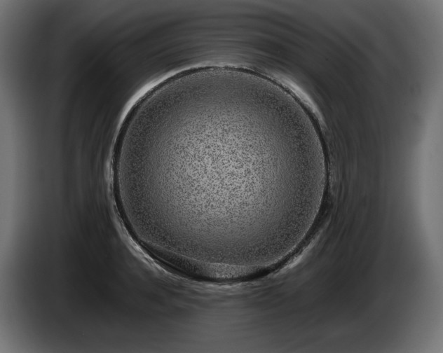 X0000085050944200703051413