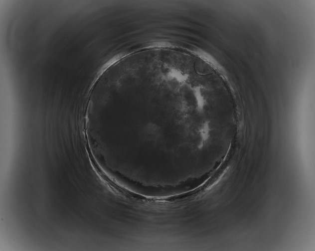 X0000085050945200703051413