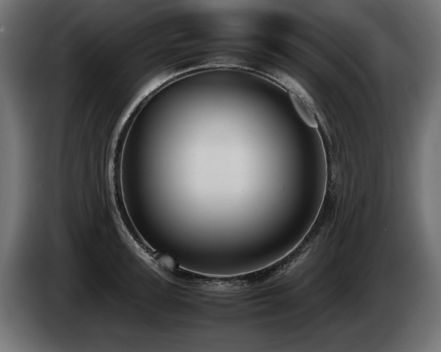 X0000085050947200703051413