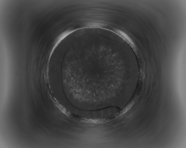 X0000085050948200703051413