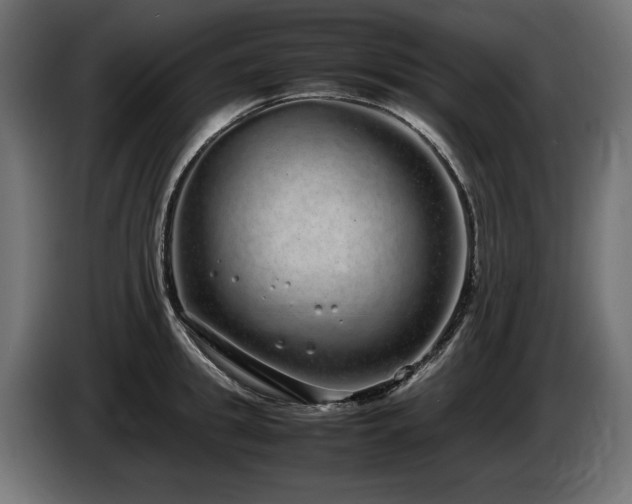 X0000085050949200703051413