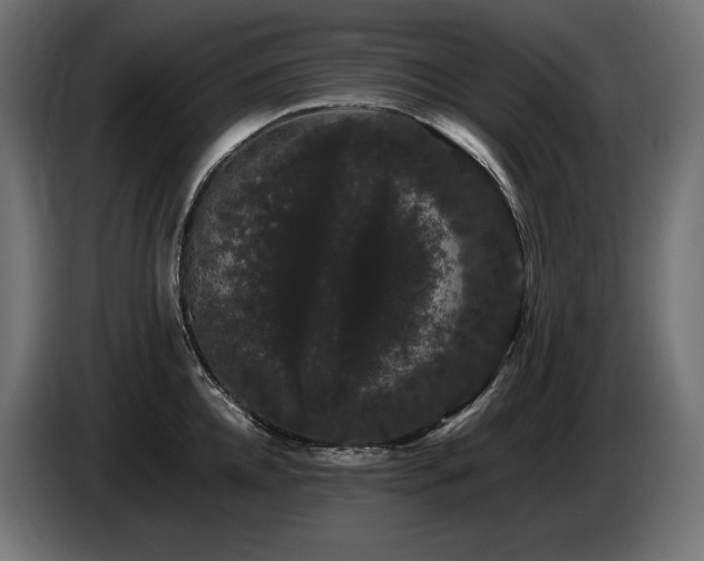 X0000085050952200703051414