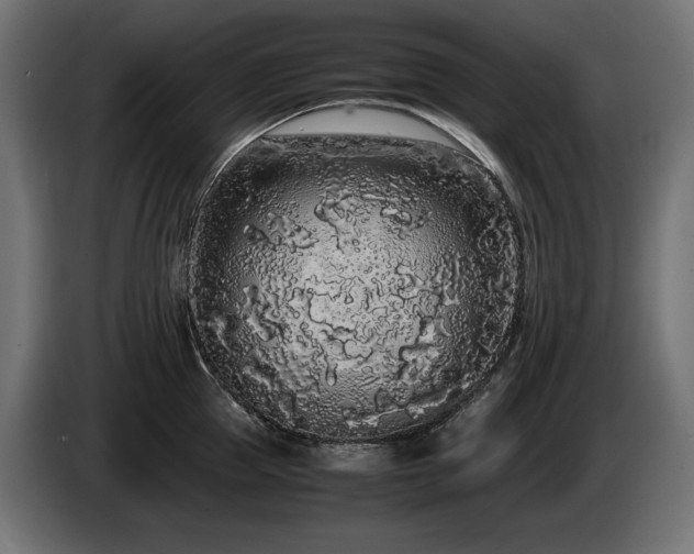 X0000085050953200703051414