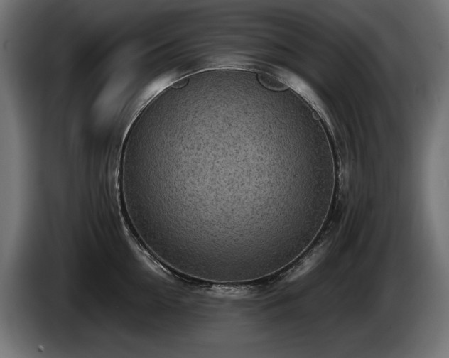 X0000085050954200703051414