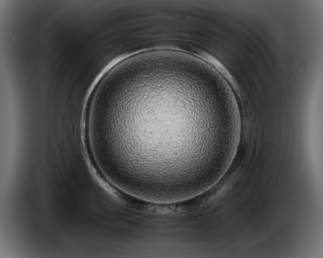 X0000085050955200703051414