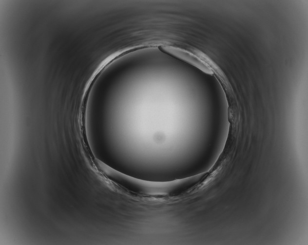 X0000085050956200703051414