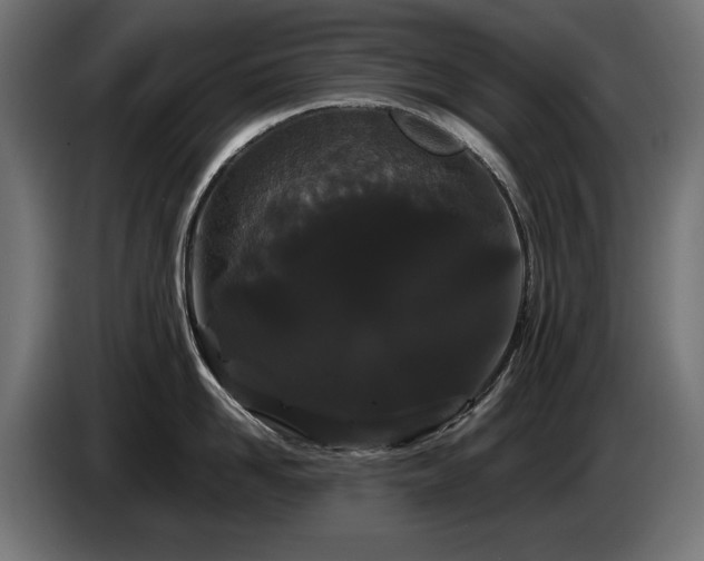 X0000085050958200703051414