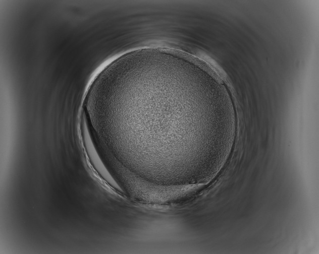 X0000085050960200703051414