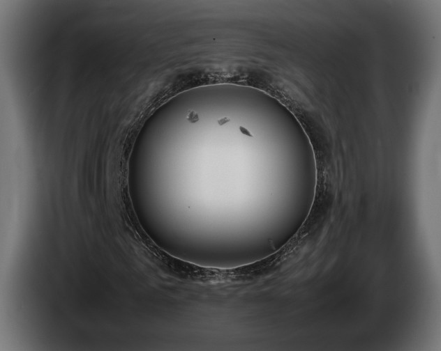 X0000085050961200703051413