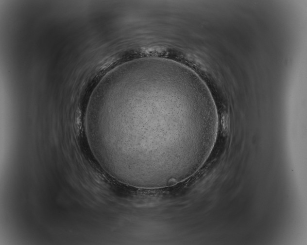 X0000085050963200703051413