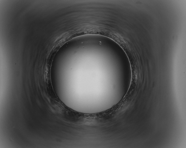 X0000085050964200703051413