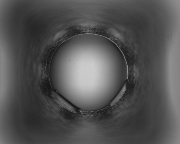 X0000085050965200703051413