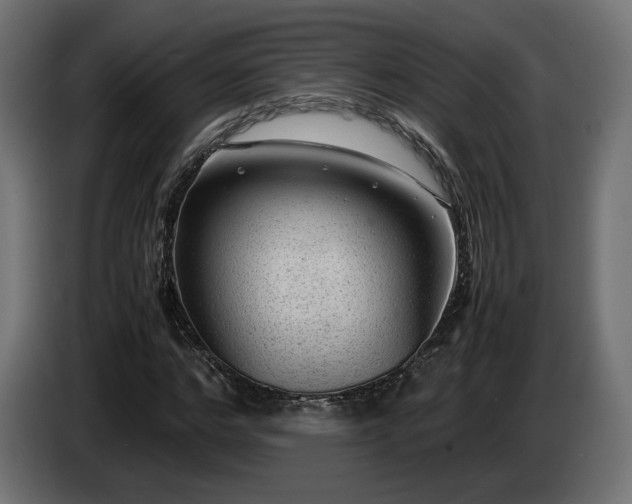 X0000085050968200703051413