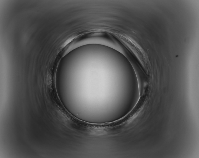 X0000085050969200703051413