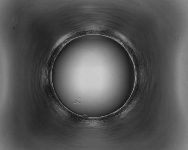 X0000085050970200703051413