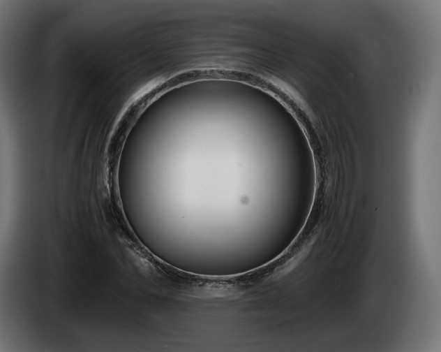 X0000085050974200703051413