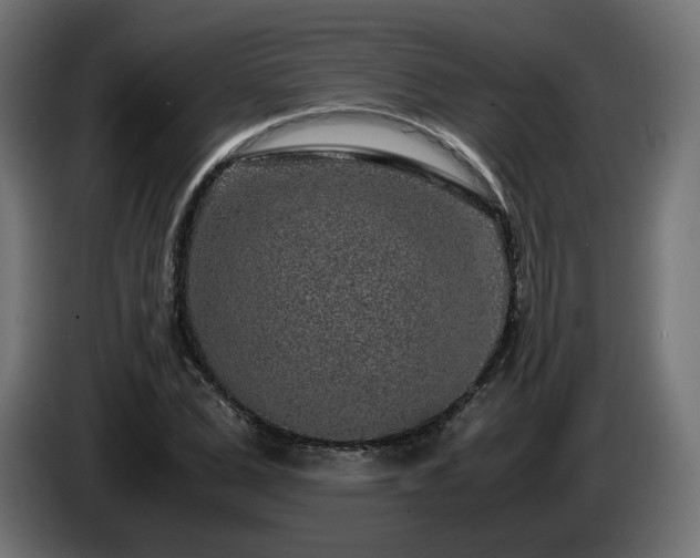 X0000085050975200703051413