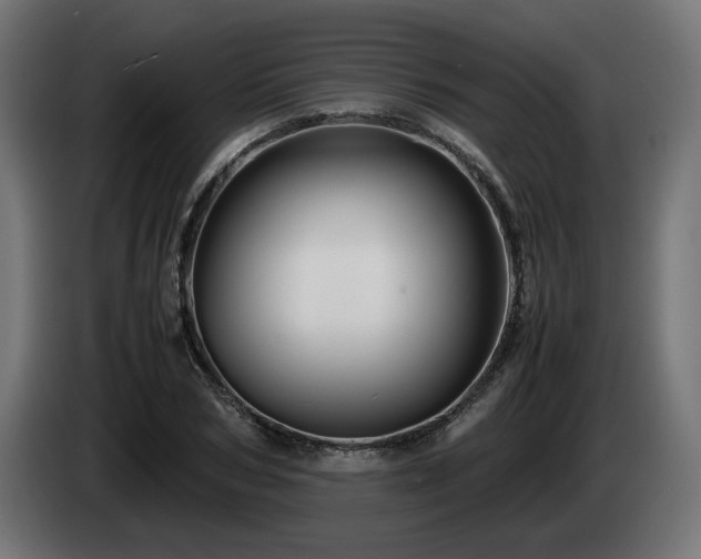 X0000085050978200703051413