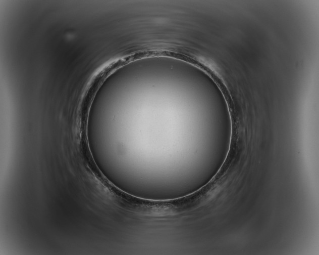 X0000085050979200703051413