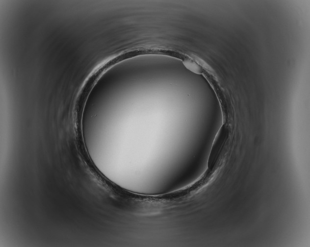 X0000085050981200703051413