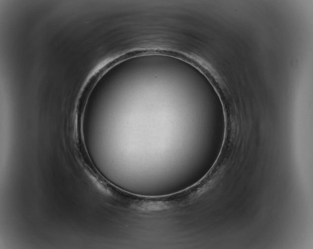 X0000085050982200703051413