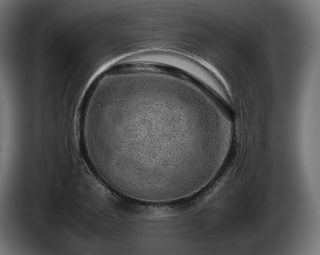 X0000085050983200703051413