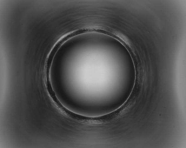 X0000085050984200703051413