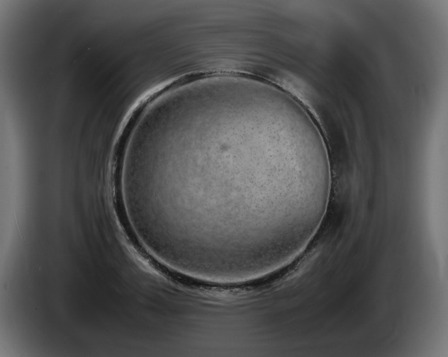 X0000085050987200703051413