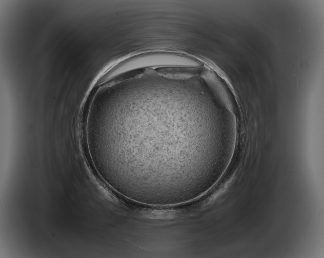 X0000085050989200703051413