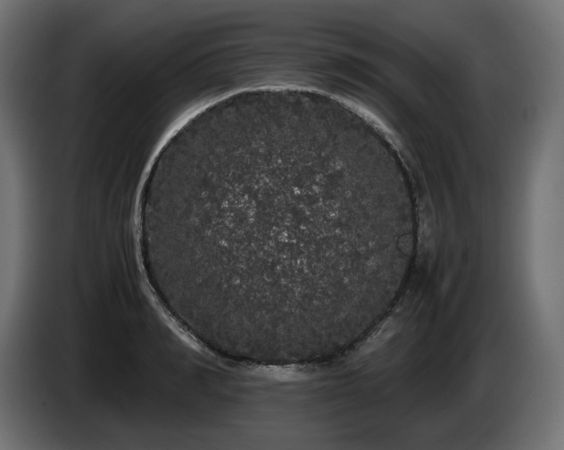 X0000085050990200703051413