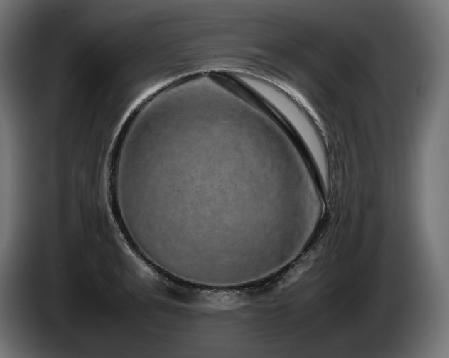 X0000085050991200703051413