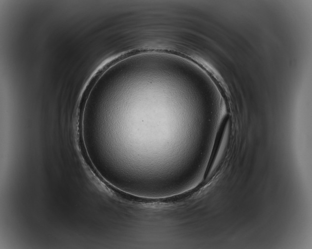X0000085050992200703051413
