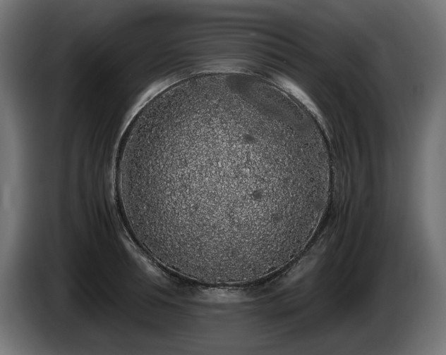 X0000085050994200703051413