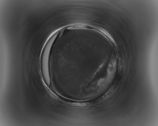 X0000085050996200703051412