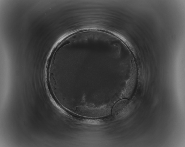 X0000085050998200703051412