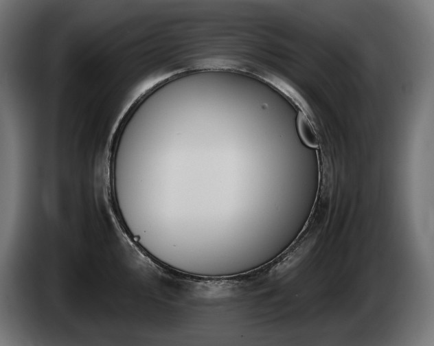X0000085051000200703051412