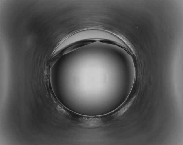 X0000085051001200703051412