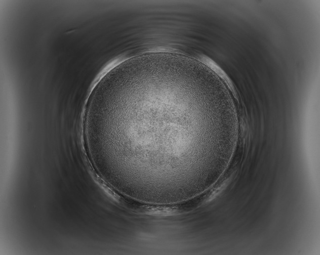 X0000085051002200703051412
