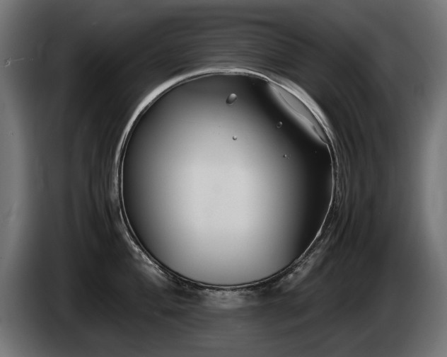 X0000085051004200703051412