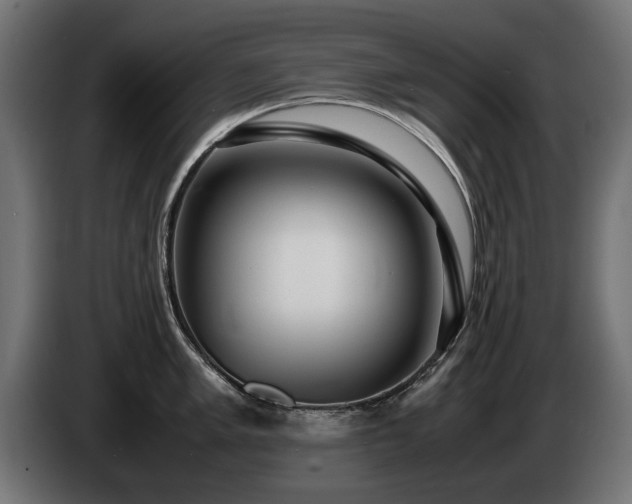 X0000085051005200703051412