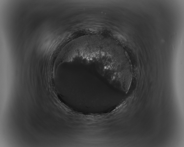 X0000085051009200703051412