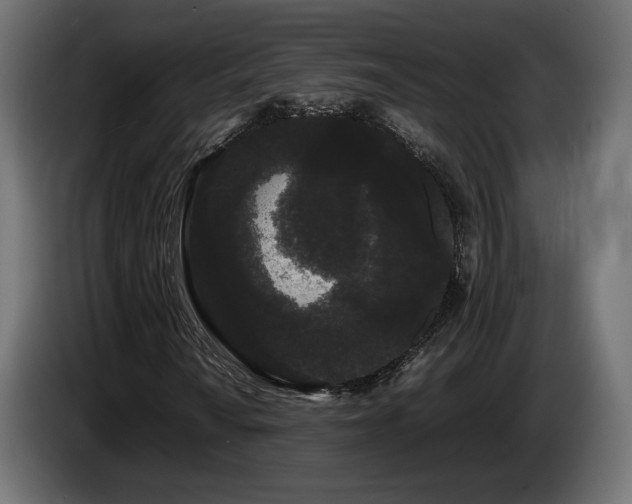 X0000085051010200703051412