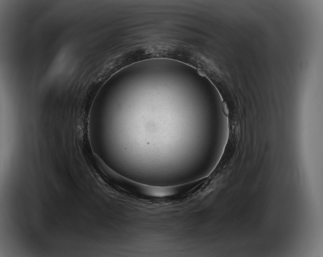 X0000085051012200703051412