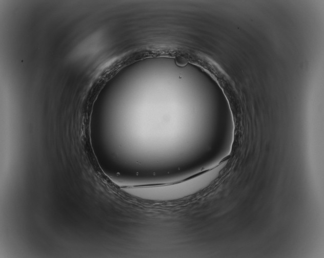 X0000085051016200703051412